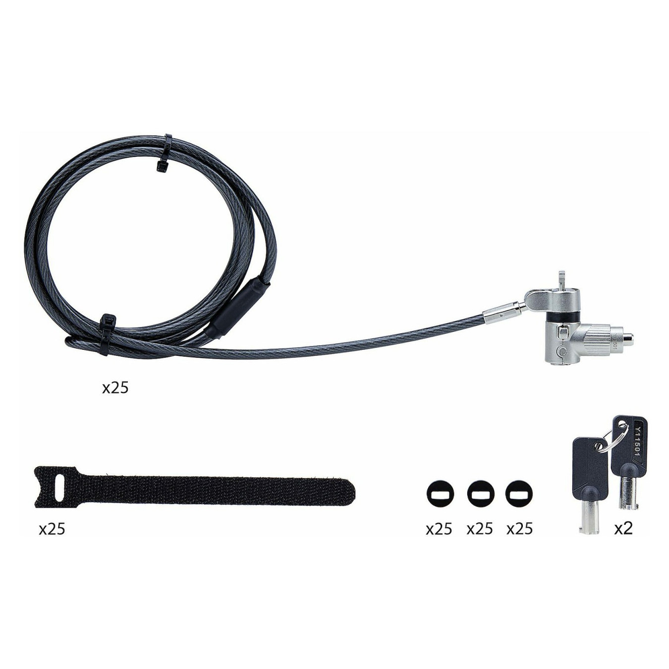 StarTech 25-PACK UNIVERSAL LAPTOP LOCK — Buy in Cyprus with Fast Delivery