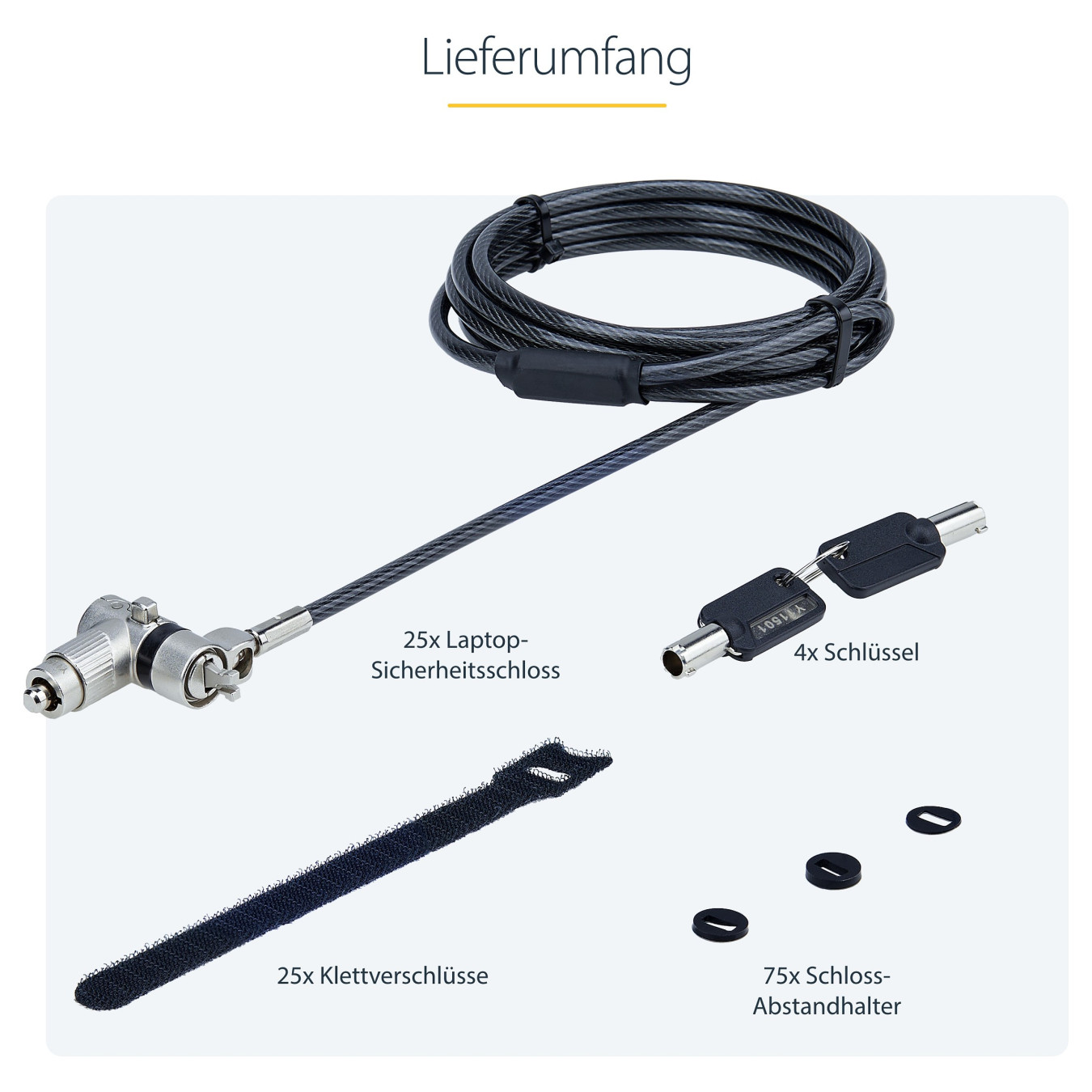 StarTech 25-PACK UNIVERSAL LAPTOP LOCK — Buy in Cyprus with Fast Delivery