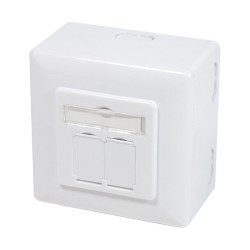 LogiLink CAT6 Fully Shielded Surface/Flush Mount Box RAL9003 NP0039A (Boxed) — Buy in Cyprus with Fast Delivery
