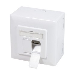 LogiLink CAT6 Fully Shielded Surface/Flush Mount Box RAL9003 NP0039A (Boxed) — Buy in Cyprus with Fast Delivery