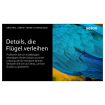 Xerox Toner 106R03500 Schwarz bis zu 2.500 Seiten — Buy in Cyprus with Fast Delivery