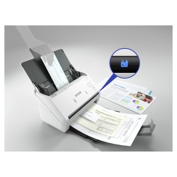 EPSON WorkForce DS-770II — Buy in Cyprus with Fast Delivery