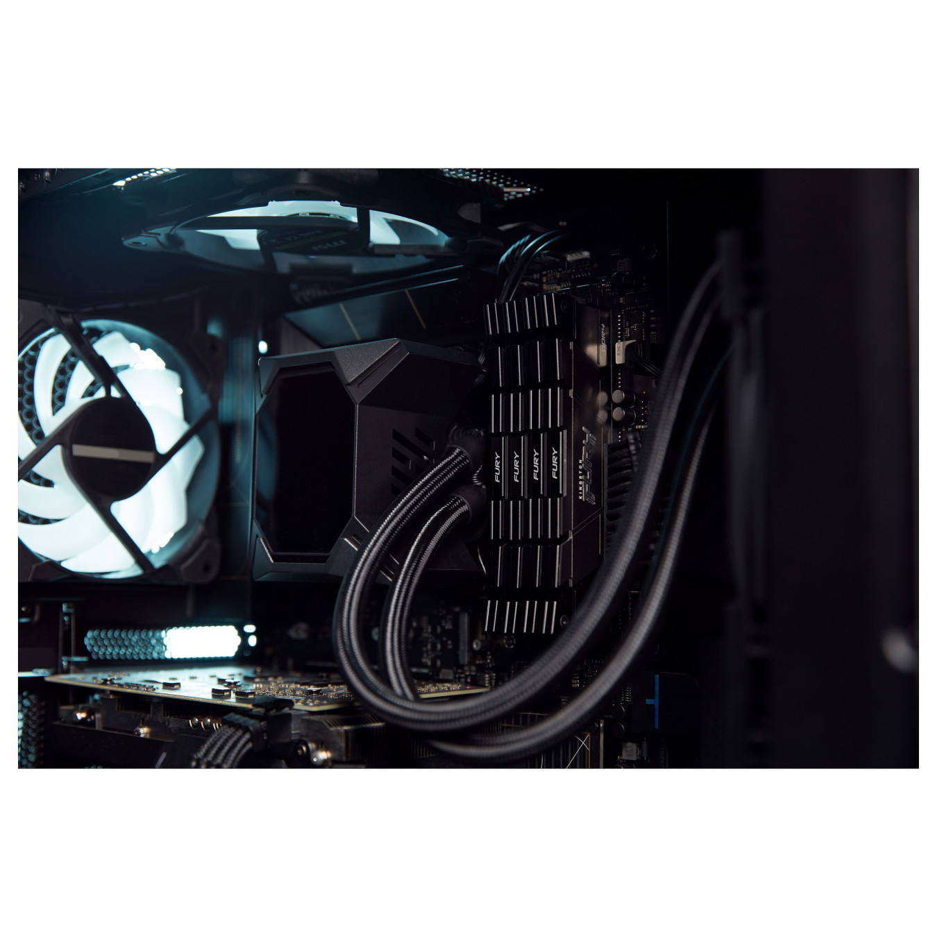 KINGSTON 64GB3600MT s DDR4 CL16DIMM Kit of41Gx8 FURYRenegadeBlack — Buy in Cyprus with Fast Delivery