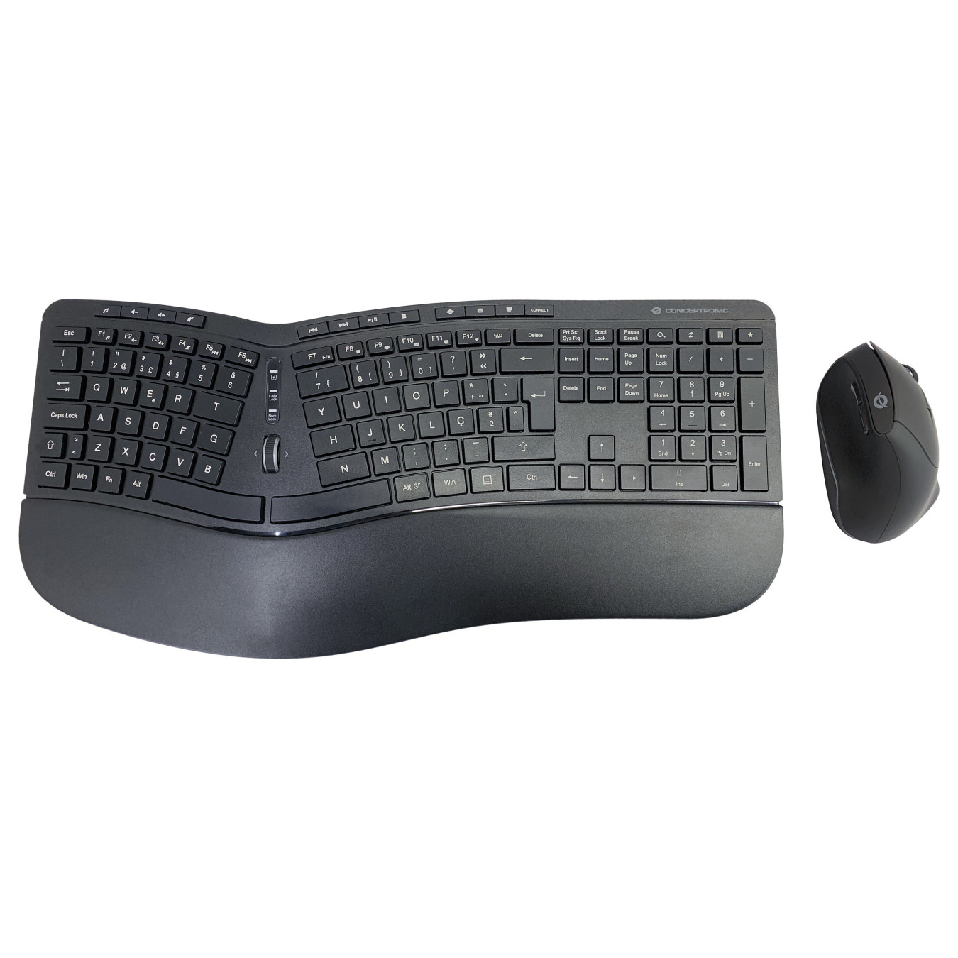 CONCEPTRONIC Wireless Keyboard+Mouse.ergo.Layout portugie.sw — Buy in Cyprus with Fast Delivery