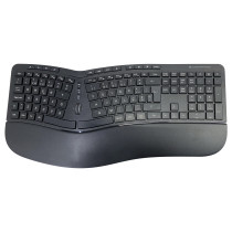 CONCEPTRONIC Wireless Keyboard+Mouse.ergo.Layout portugie.sw — Buy in Cyprus with Fast Delivery