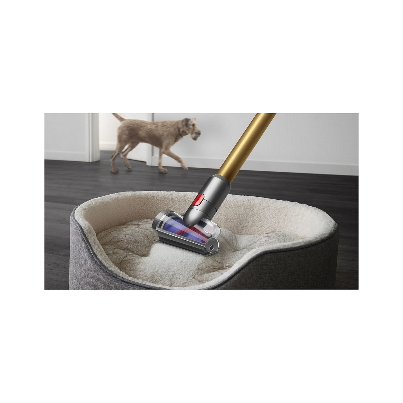 Dyson V12 Detect Slim Absolute — Buy in Cyprus with Fast Delivery