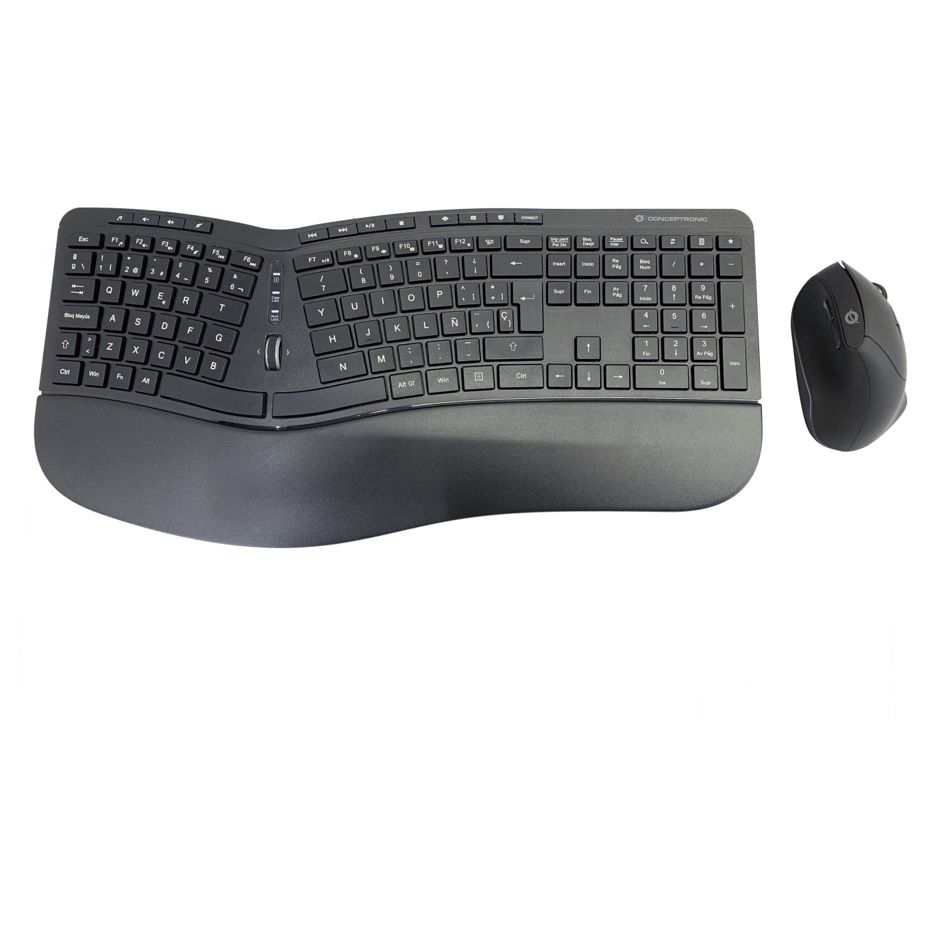 CONCEPTRONIC Wireless Keyboard+Mouse.ergo.Layout spanisch sw — Buy in Cyprus with Fast Delivery