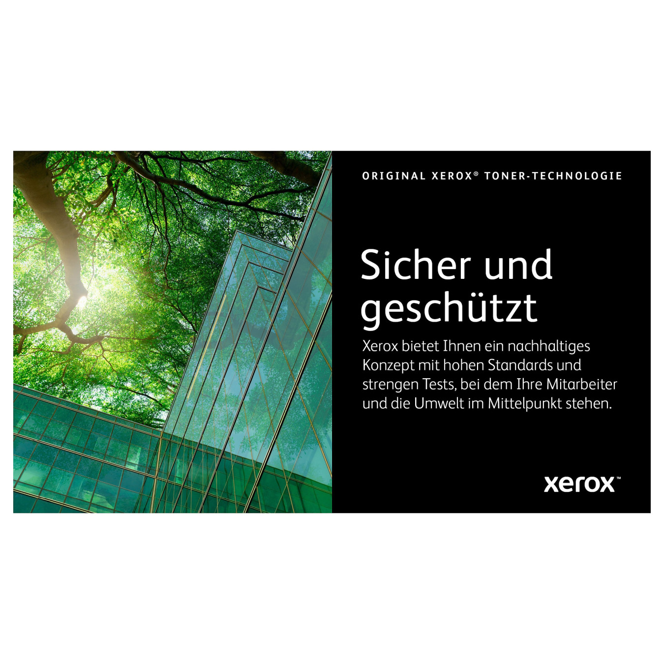 Xerox Toner 106R03501 Gelb bis zu 2.500 Seiten — Buy in Cyprus with Fast Delivery