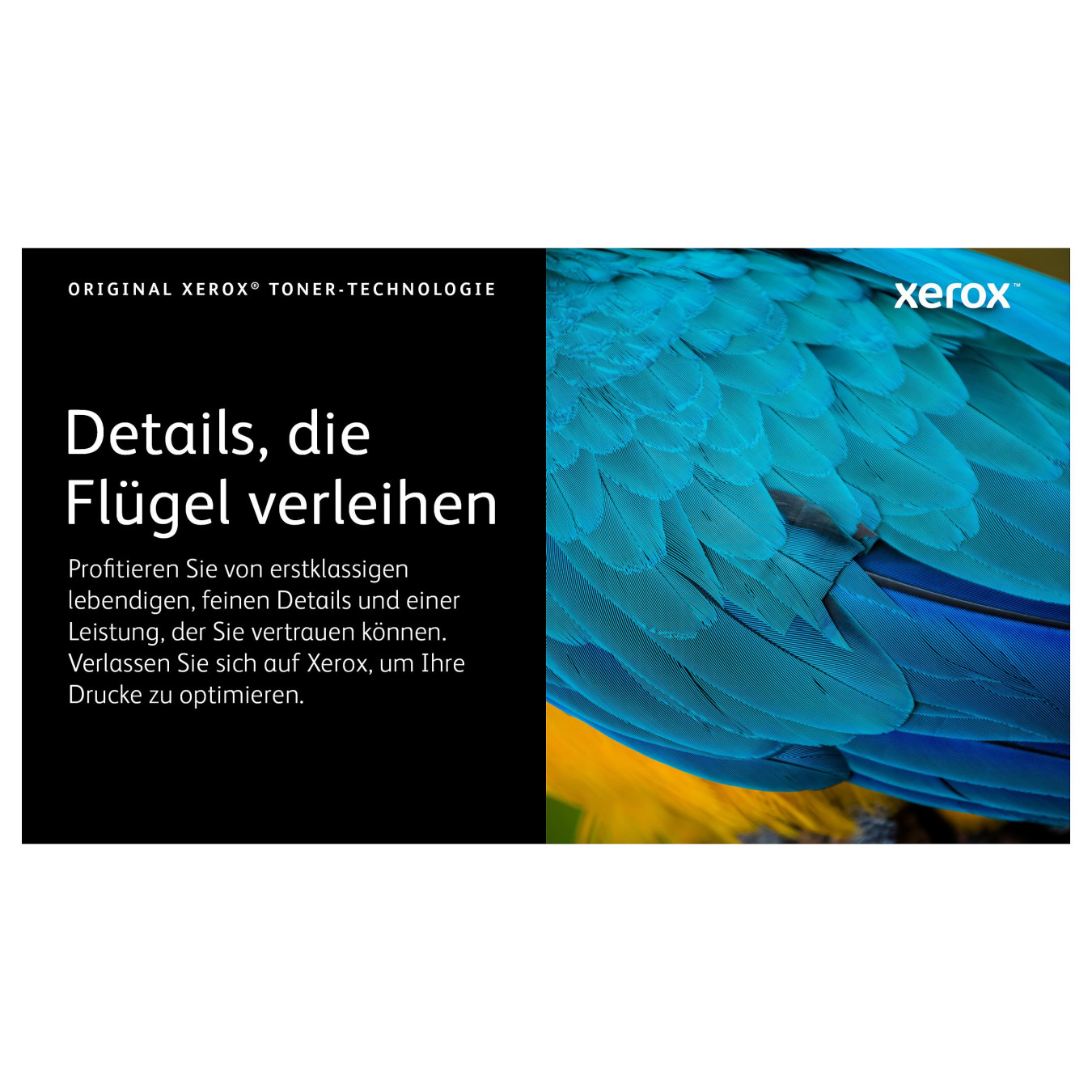 Xerox Toner 106R03501 Gelb bis zu 2.500 Seiten — Buy in Cyprus with Fast Delivery
