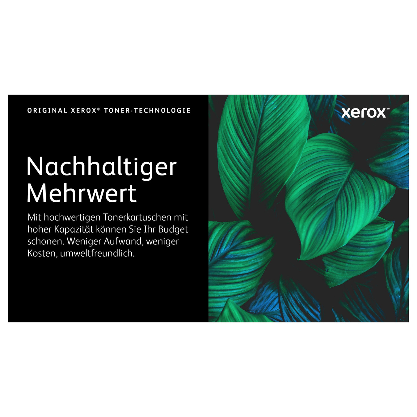 Xerox Toner 106R03501 Gelb bis zu 2.500 Seiten — Buy in Cyprus with Fast Delivery