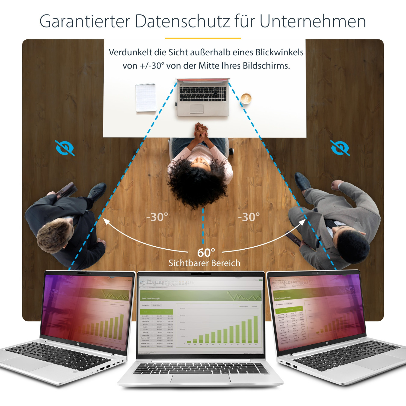 StarTech 14IN LAPTOP PRIVACY SCREEN — Buy in Cyprus with Fast Delivery
