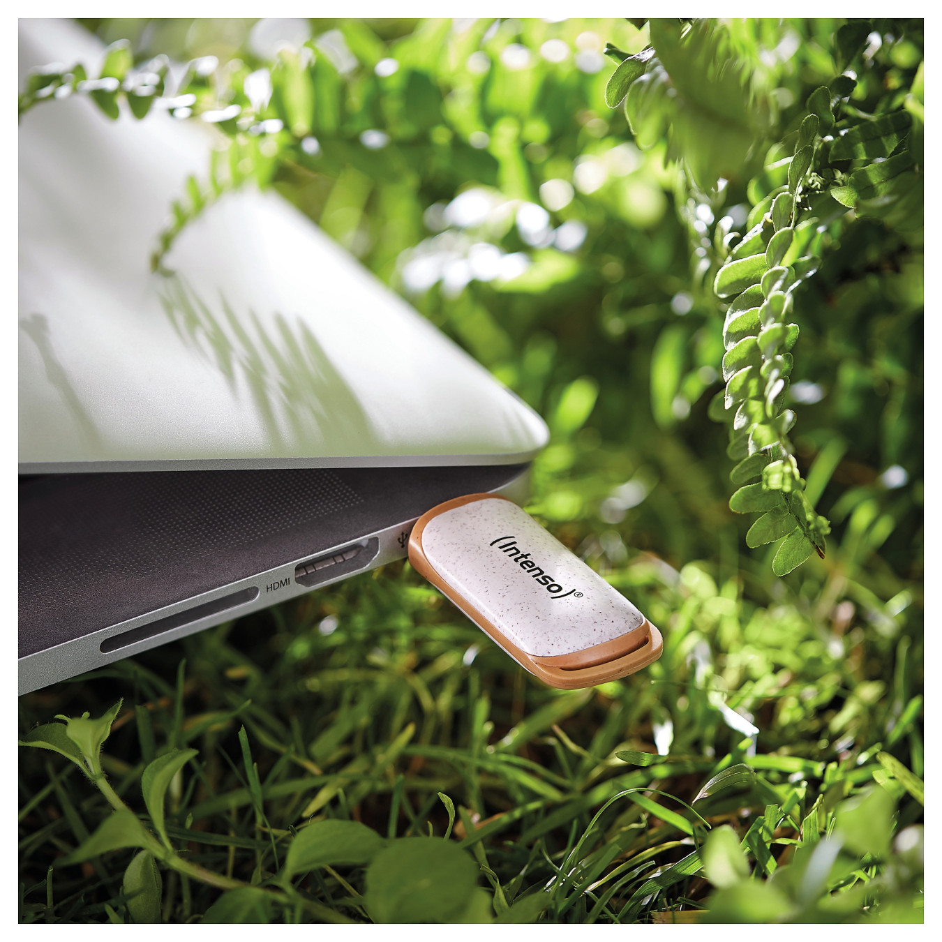 STICK Intenso Green Line 128 GB (beige braun. USB-A 3.2 Gen 1) — Buy in Cyprus with Fast Delivery