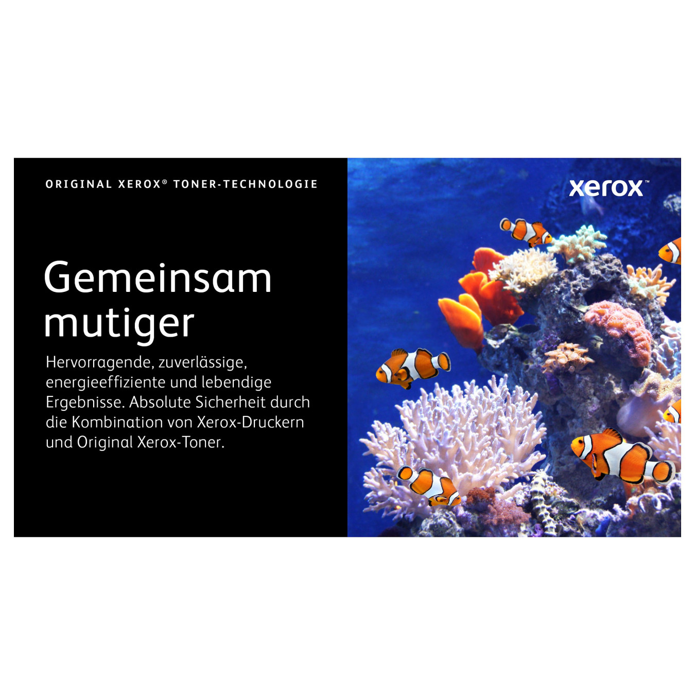Xerox Toner 006R04359 Gelb bis zu 2.000 Seiten gemäß ISO IEC 19798 — Buy in Cyprus with Fast Delivery