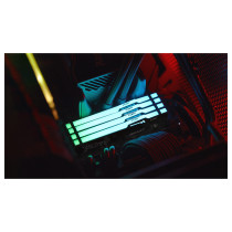 DIMM 32 GB DDR5-5600 (2x 16 GB) Dual-Kit (schwarz. KF556C36BBEAK2-32. FURY Beast RGB. INTEL XMP. AMD EXPO)