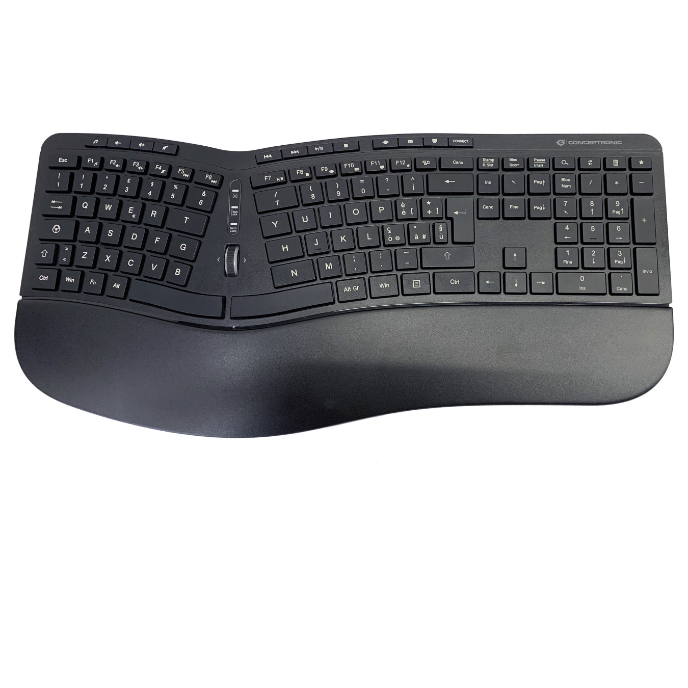 CONCEPTRONIC Wireless Keyboard+Mouse.ergo.Layout italien. sw — Buy in Cyprus with Fast Delivery