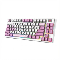 MSI FORGE GK600 TKL W Violet Gaming Keyboard retail — Buy in Cyprus with Fast Delivery