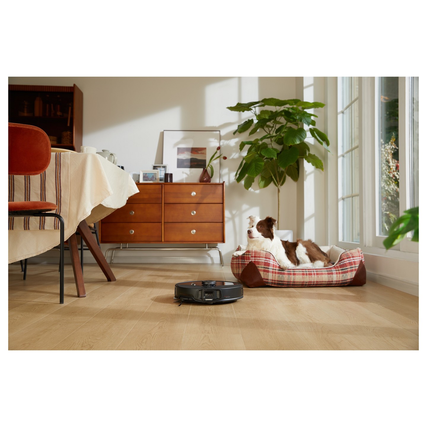 Roborock S8 MaxV Ultra. Kombi. Schwarz. Rund. Staubbeutel. 0.27 l. 67 dB — Buy in Cyprus with Fast Delivery