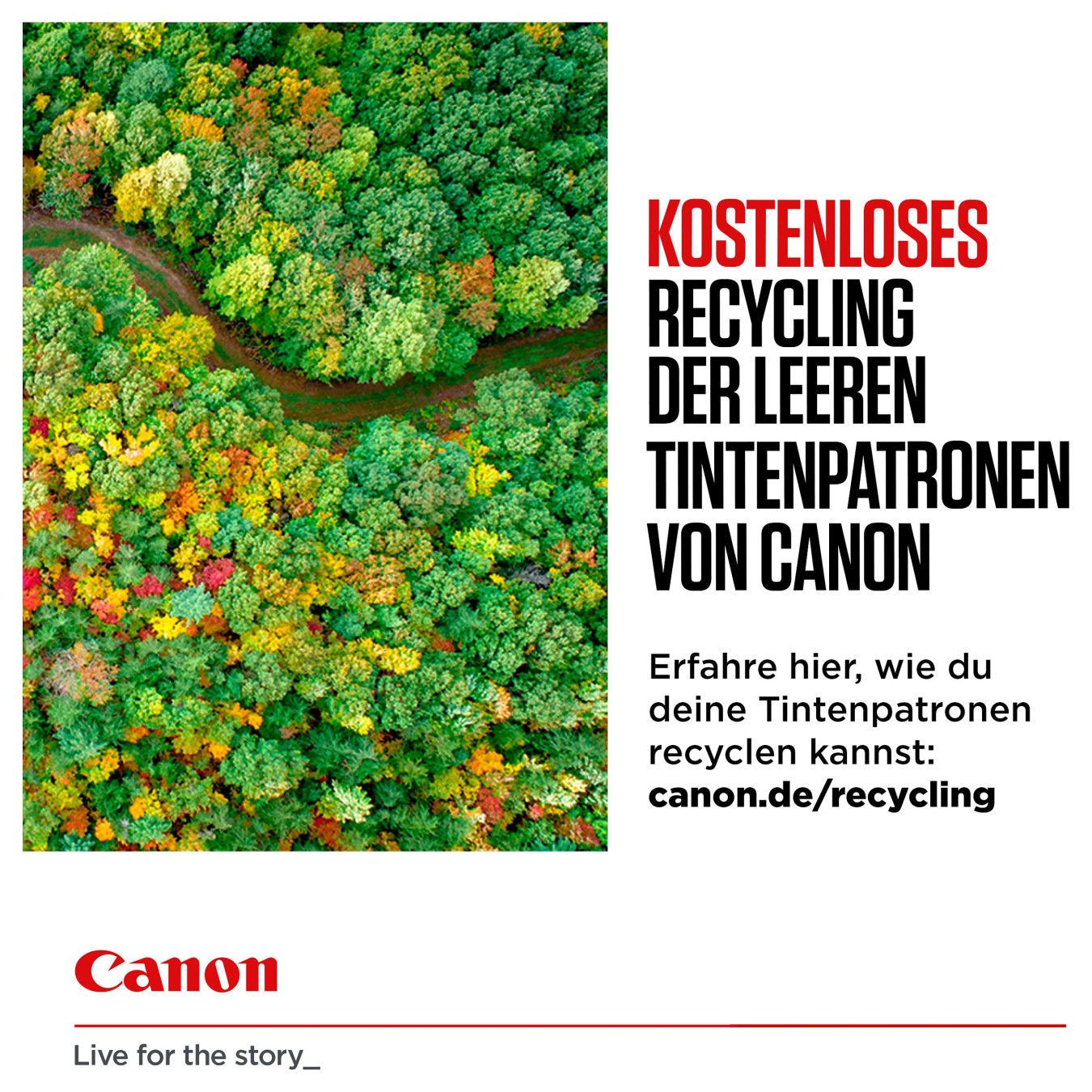 Canon Tinte PGI-1500 9218B006 4er Multipack(BK C M Y) — Buy in Cyprus with Fast Delivery
