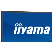 iiyama ProLite XCB4594DQSU-B1 Curved-Monitor 113 cm (44.5') mattschwarz — Buy in Cyprus with Fast Delivery