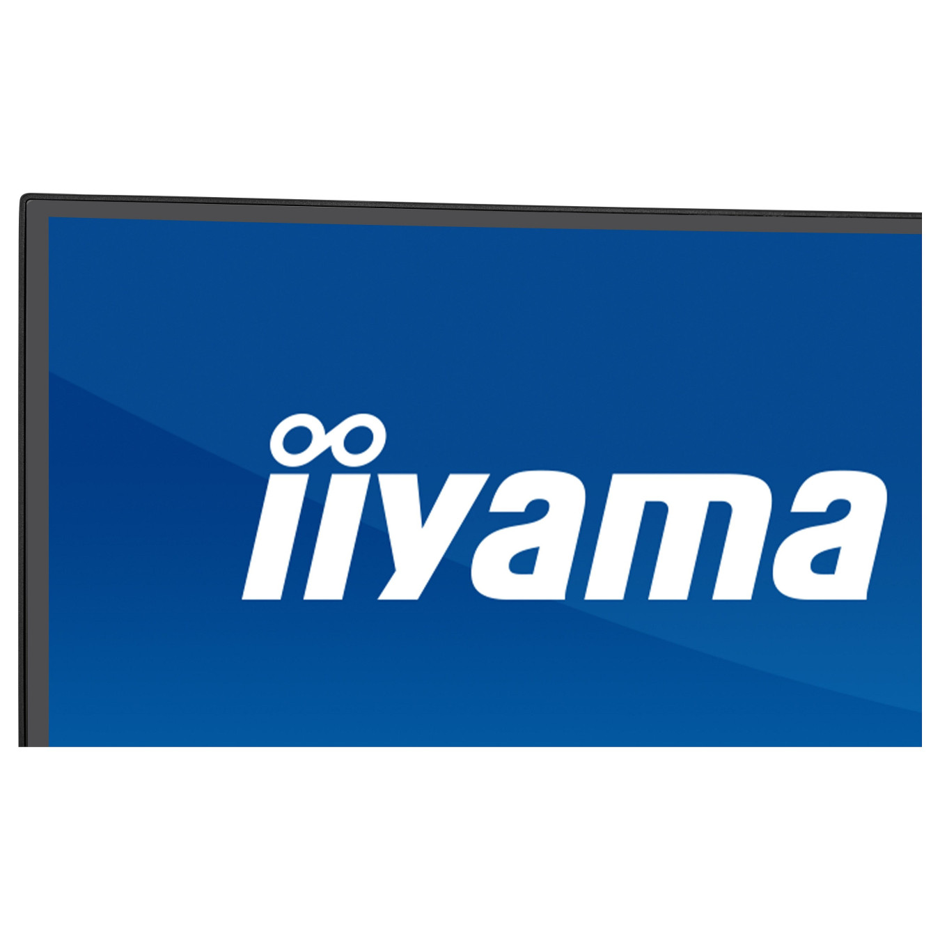 iiyama ProLite XCB4594DQSU-B1 Curved-Monitor 113 cm (44.5') mattschwarz — Buy in Cyprus with Fast Delivery