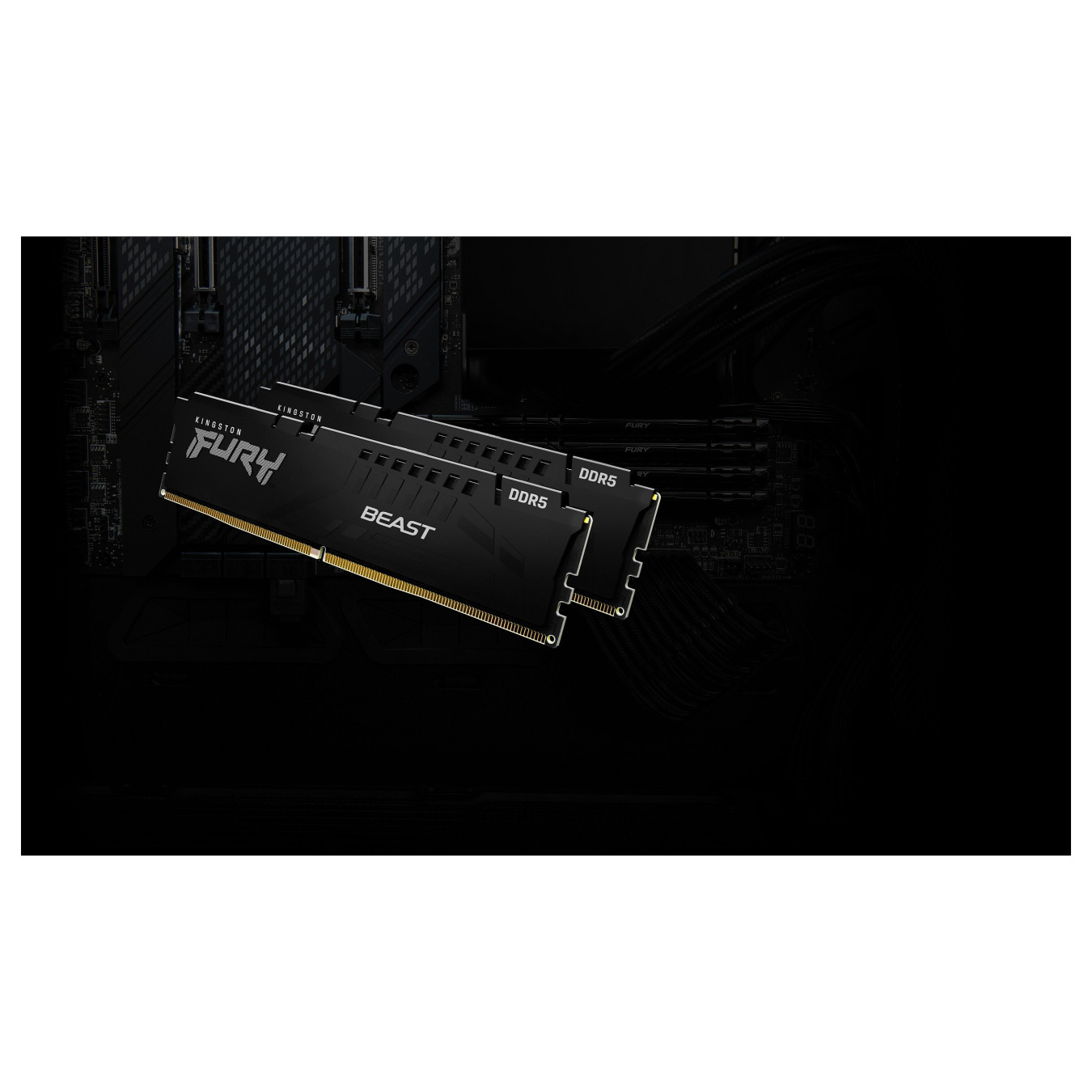 64GB KINGSTON 5600MT S CL36 DIMM — Buy in Cyprus with Fast Delivery