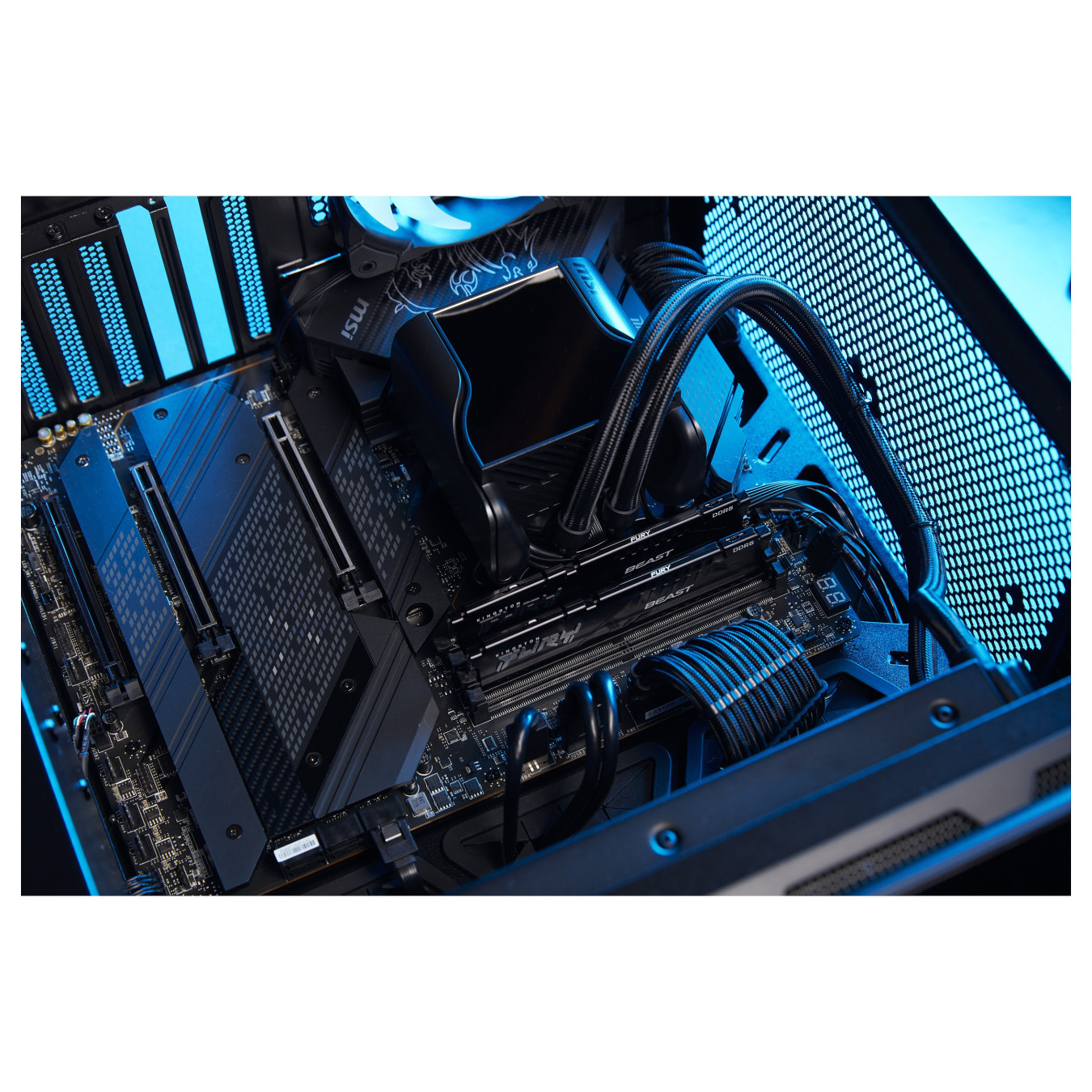 64GB KINGSTON 5600MT S CL36 DIMM — Buy in Cyprus with Fast Delivery