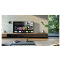 164.0cm 65' (3840x2160) Panasonic TB-65W61AEZ 16:9 LED 60Hz HDMI USB WLAN Bluetooth HDR10 Speaker Black