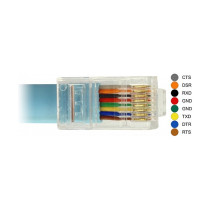 Delock Adapter RS-232 DB9 female to 1 x Serial RS-232 RJ45 male - Kabel seriell - DB-9 bis RJ-45 - 1 m