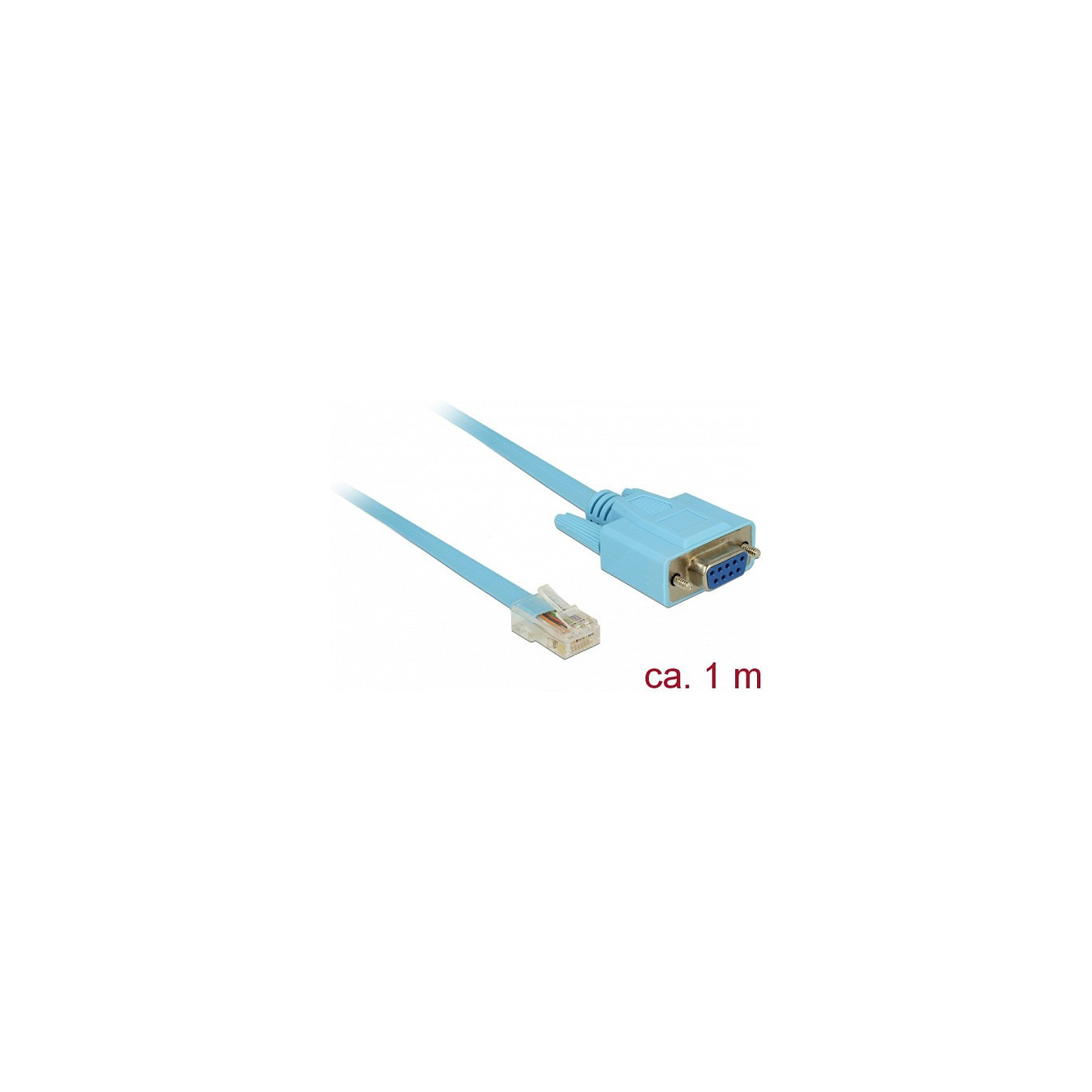 Delock Adapter RS-232 DB9 female to 1 x Serial RS-232 RJ45 male - Kabel seriell - DB-9 bis RJ-45 - 1 m