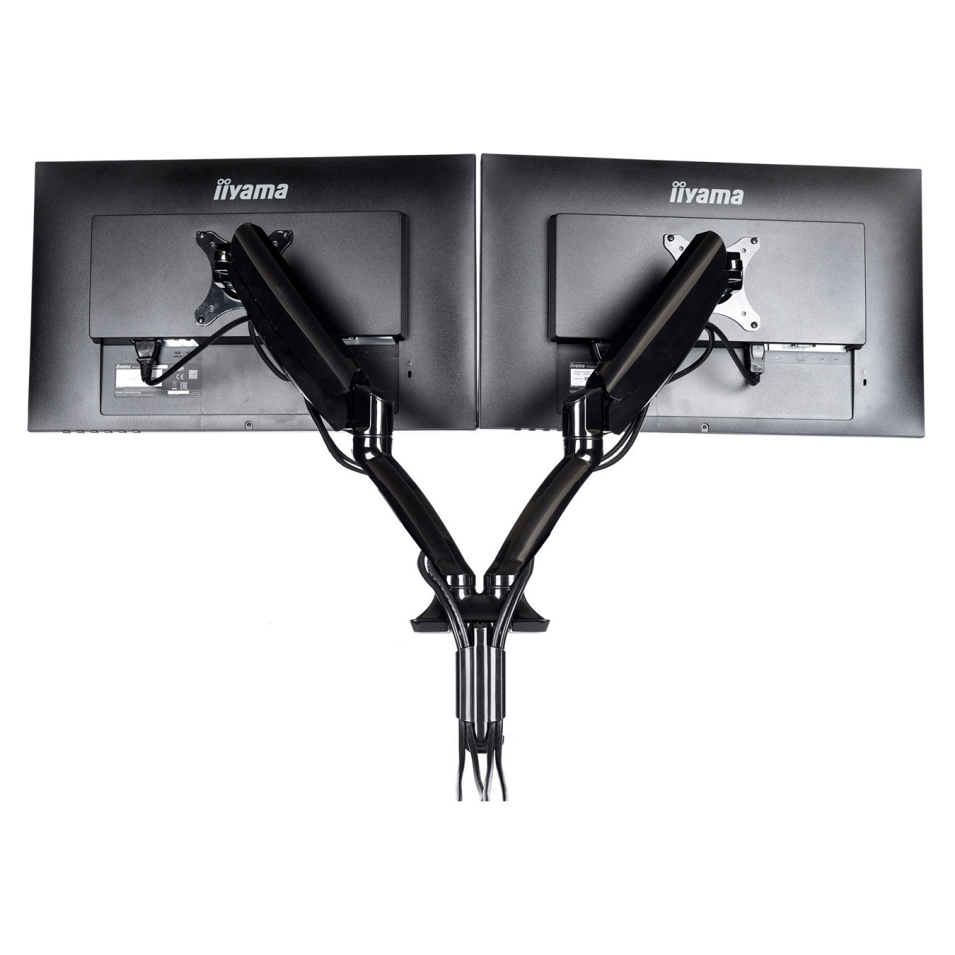 IIYAMA Tischklemme Duo 100x100 -5kg 10-27'' schwarz hv Gasfeder — Buy in Cyprus with Fast Delivery