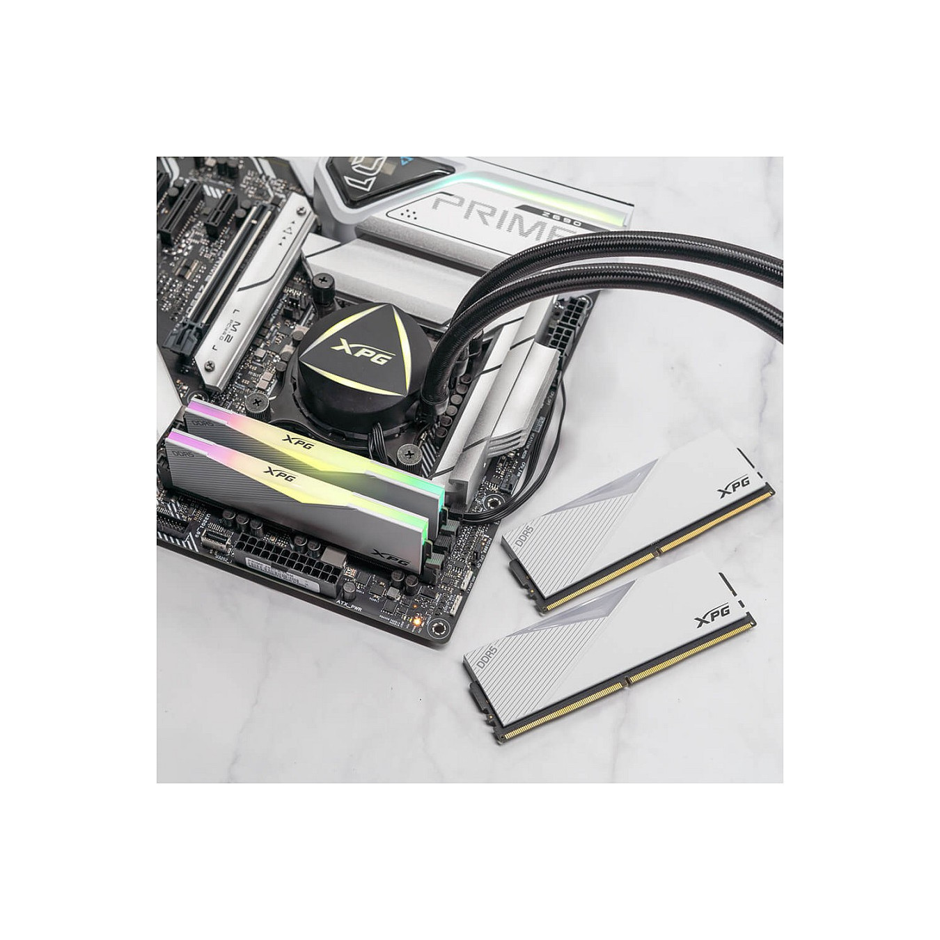 64GB ADATA XPG LANCER 2 x 32 GB - DDR5 - 6000 MHz — Buy in Cyprus with Fast Delivery