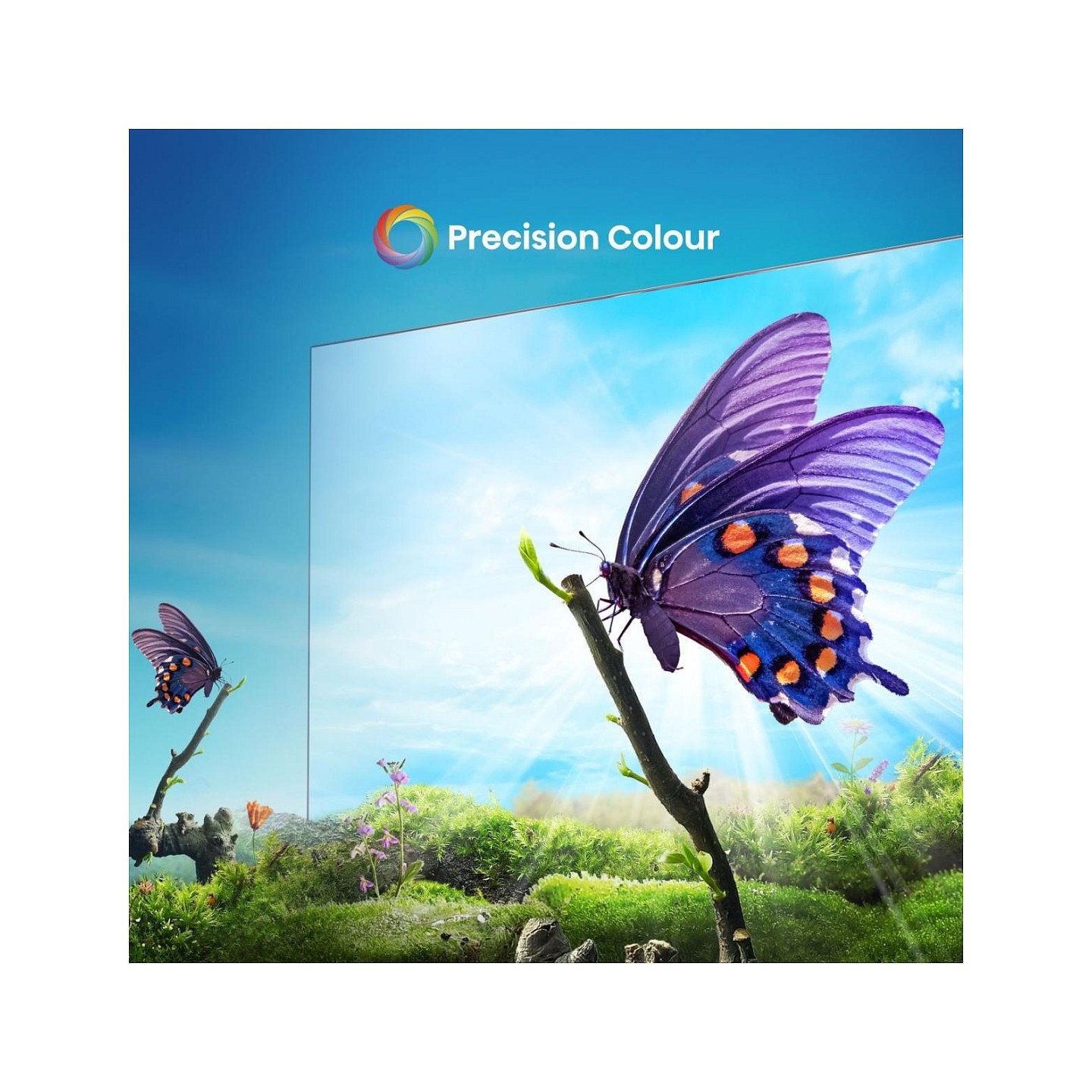 164.0cm 65' (3840x2160) Hisense 65E6NT 16:9 DLED 60Hz HDMI USB WLAN Bluetooth HDR10+ Speaker Black