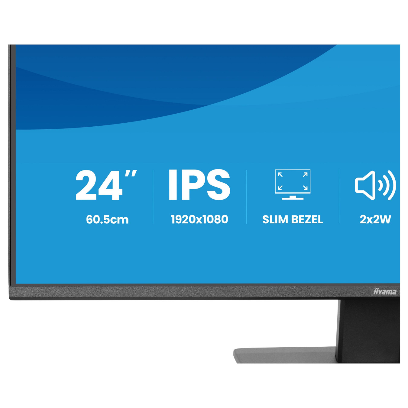 iiyama ProLite X2493HSU-B1 Monitor 60.5 cm (24') mattschwarz — Buy in Cyprus with Fast Delivery