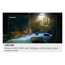 163cm 65' (3840x2160) Samsung GQ65S90FAT 16:9 OLED 144Hz 4x HDMI 2.1 2x USB LAN WLAN Twin-Tuner Dolby Atmos HDR10+ Ti...