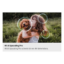 138cm 55' (3840x2160) Samsung GQ55S90FAE 16:9 OLED 144Hz 4x HDMI 2.1 2x USB LAN WLAN Twin-Tuner Dolby Atmos HDR10+ Ti...