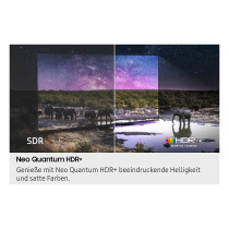 125cm 50' (3840x2160) Samsung GQ50QN90FATXZG 16:9 Neo QLED Mini-LED 120Hz 4x HDMI 2x USB WLAN Twin-Tuner Dolby Atmos ...