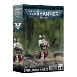 BLOOD ANGELS: SANGUINARY PRIEST — Buy in Cyprus with Fast Delivery