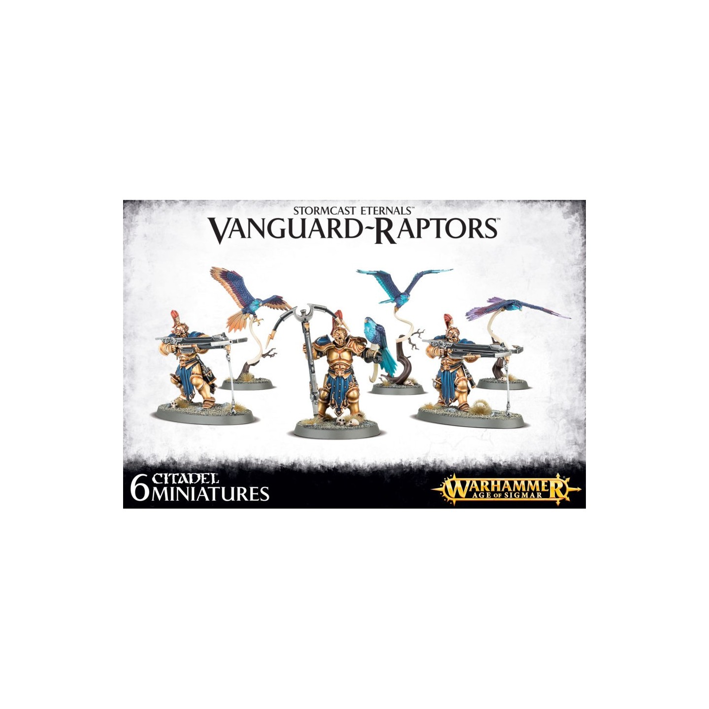 STORMCAST ETERNALS: VANGUARD-RAPTORS — Buy in Cyprus with Fast Delivery
