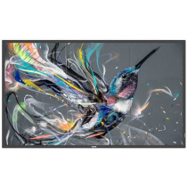 Philips Q-Line 43BDL3511Q - 43in 4K UHD Digital Signage Display - 400 cd/m², IPS, 18/7, Black