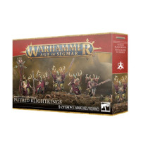 MAGGOTKIN OF NURGLE: PUTRID BLIGHTKINGS — Buy in Cyprus with Fast Delivery