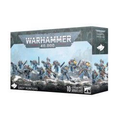 SPACE WOLVES: GREY HUNTERS — Buy in Cyprus with Fast Delivery