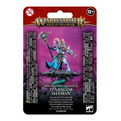 TZEENTCH ARCANITES TZAANGOR SHAMAN — Buy in Cyprus with Fast Delivery
