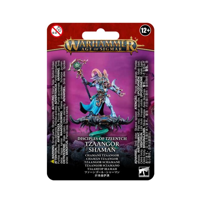 TZEENTCH ARCANITES TZAANGOR SHAMAN — Buy in Cyprus with Fast Delivery