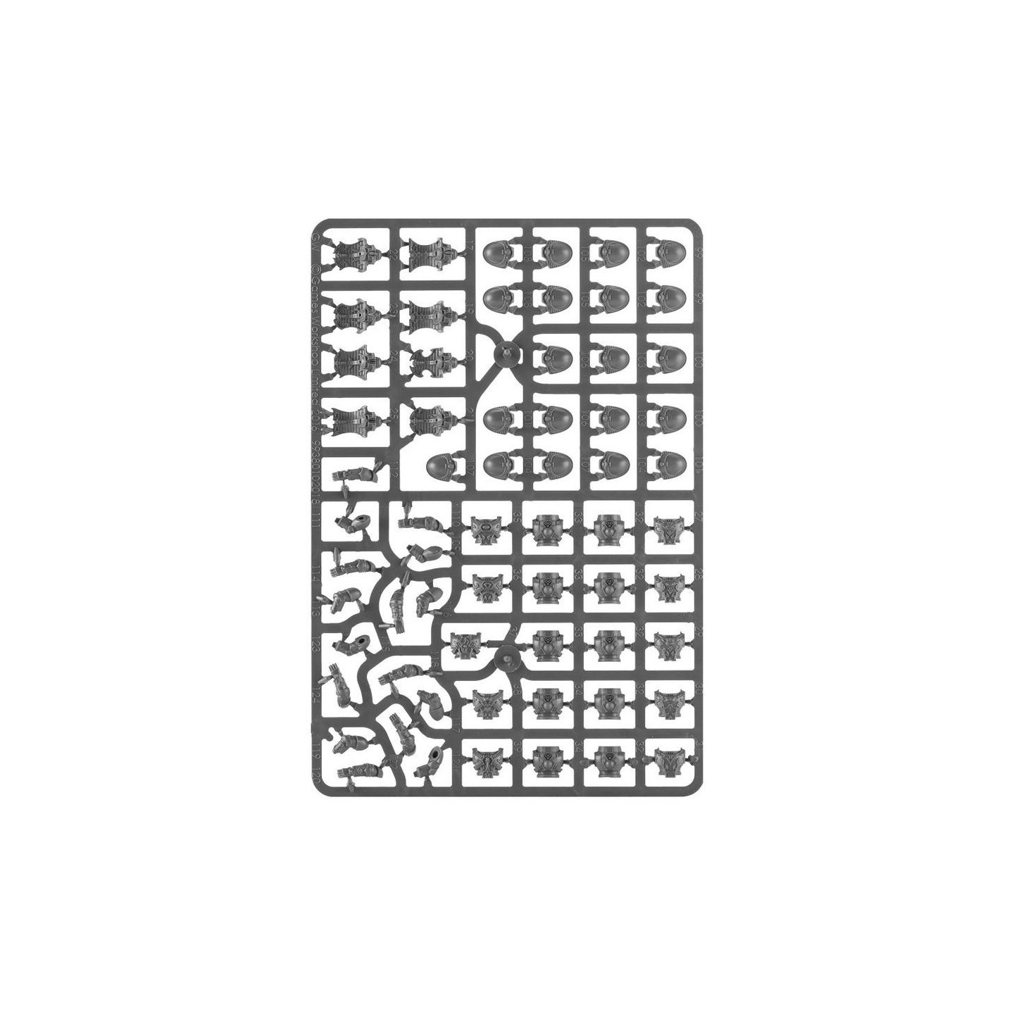 THOUSAND SONS: RUBRIC MARINES — Buy in Cyprus with Fast Delivery