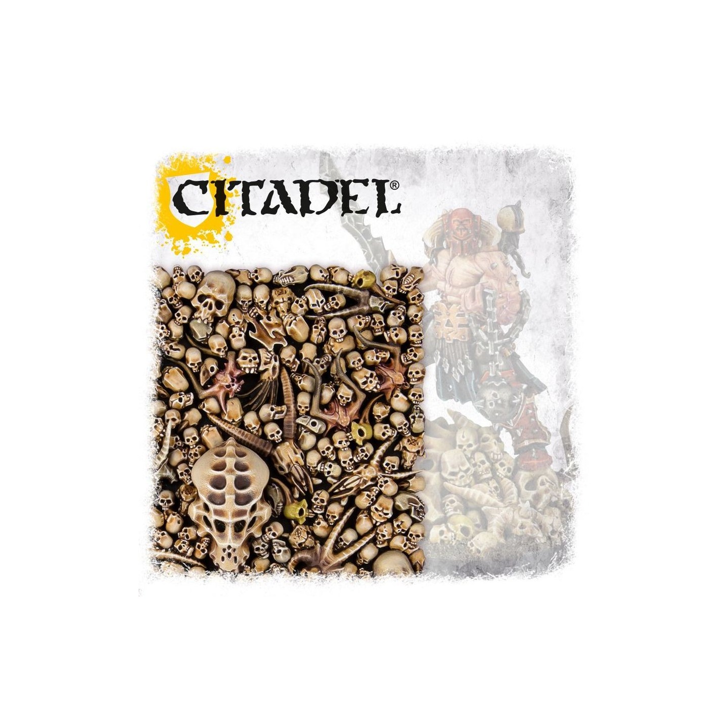 CITADEL SKULLS — Buy in Cyprus with Fast Delivery