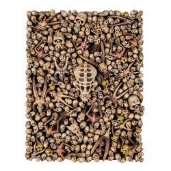 CITADEL SKULLS — Buy in Cyprus with Fast Delivery