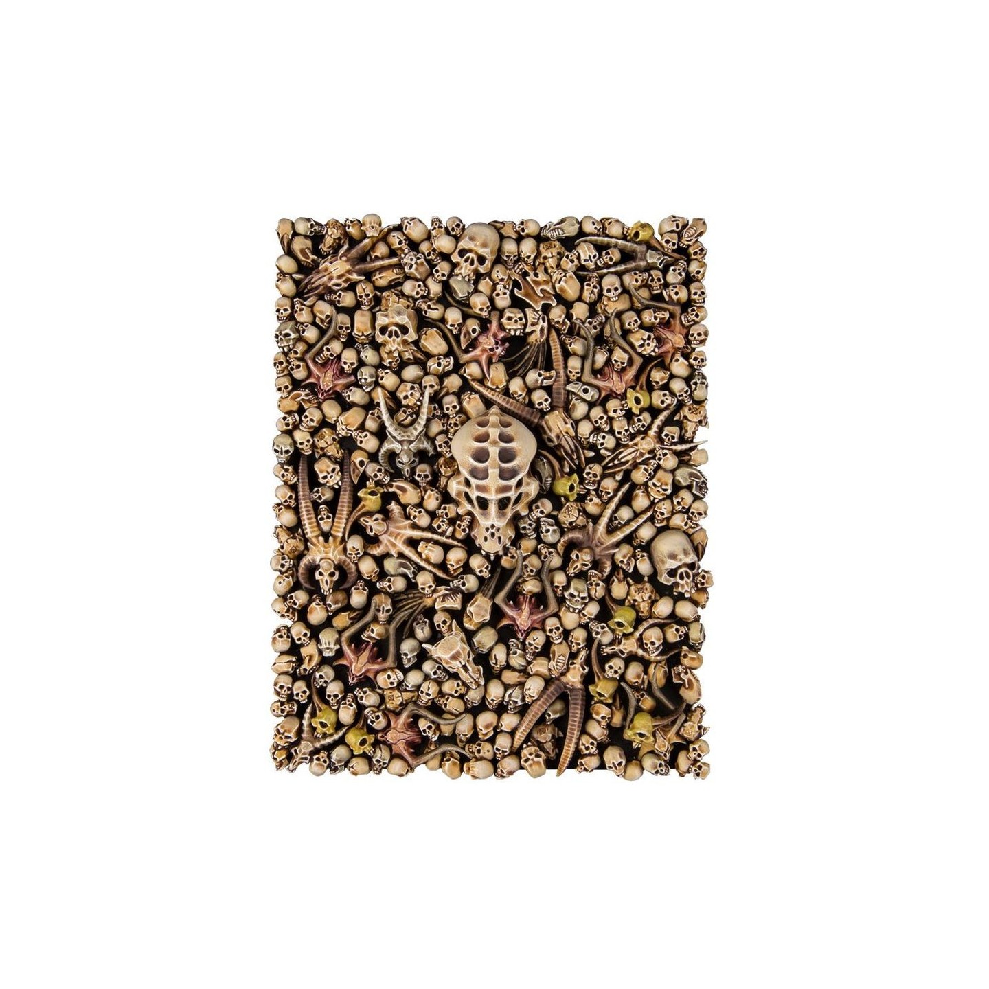 CITADEL SKULLS — Buy in Cyprus with Fast Delivery