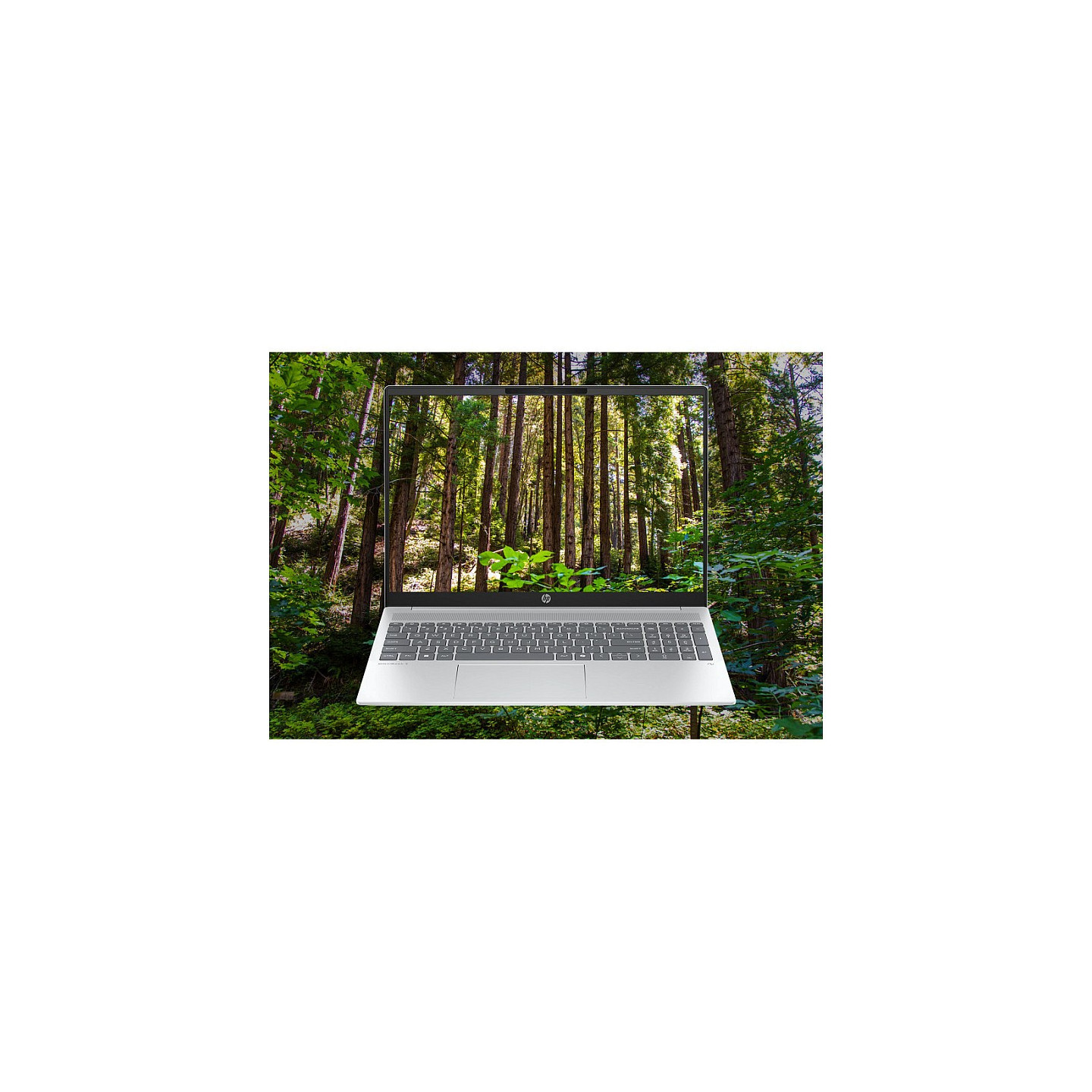 HP OmniBook 5 NGAI 16-AG1452NG – Ryzen AI 5 340 2K Laptop | Armenius Store
