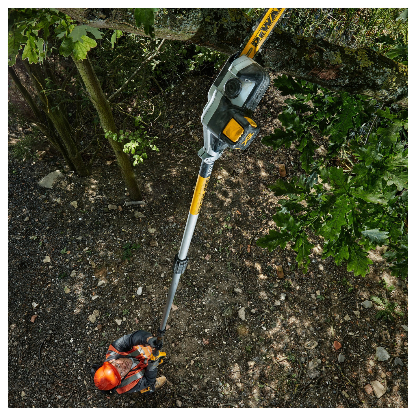 DEWALT Akku-Hochentaster. 18 Volt. Basisv. — Buy in Cyprus with Fast Delivery