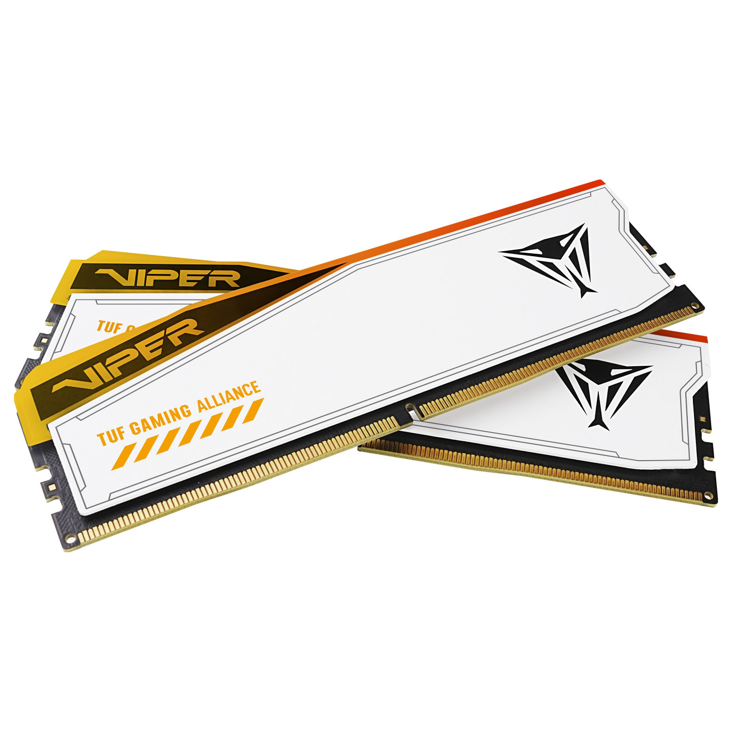 48GB Patriot Memory PC6600 (2x24) Viper Elite 5 TUF Gaming RGB — Buy in Cyprus with Fast Delivery
